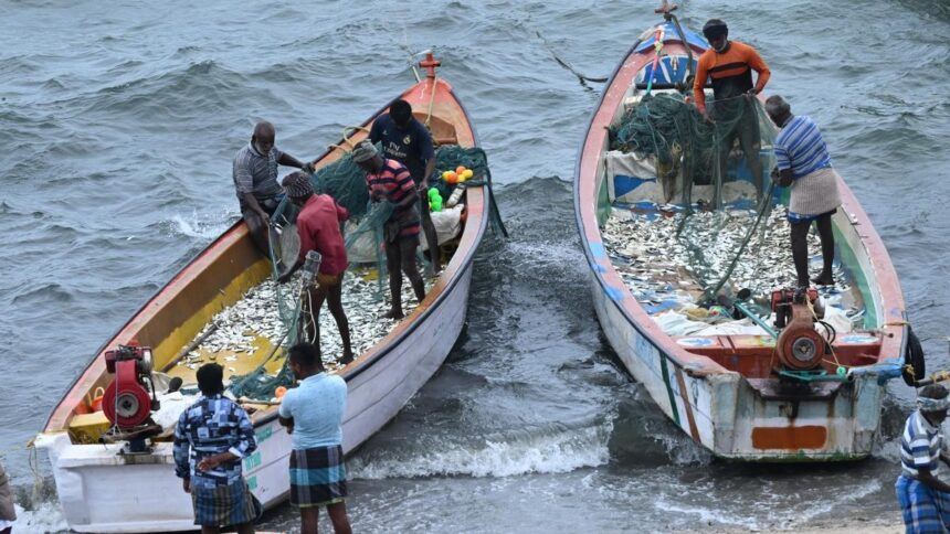 Changes in Monsoon Strength Impact Marine Productivity in Bay of Bengal