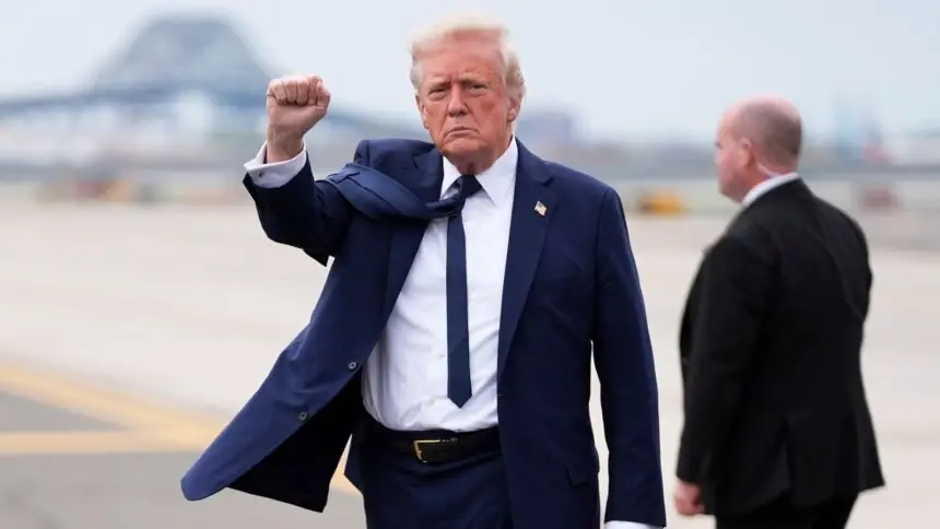 Donald Trump's Statement: Americans Will Pay Less Income Tax When Tariffs Come In, Possibly Eliminated | Mint