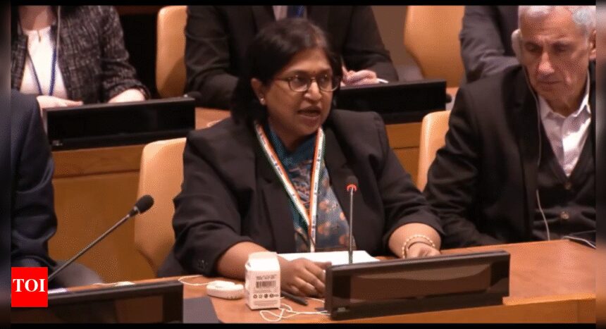 India Blasts Pakistan at UN Over Pahalgam Attack: Rogue State Fuelling Global Terrorism | India News - The Times of India