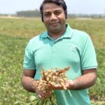 Scientists Unveil Genetic Breakthrough for Increased Peanut Yields