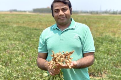 Scientists Unveil Genetic Breakthrough for Increased Peanut Yields