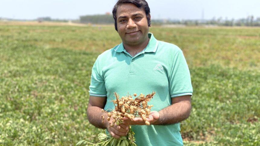 Scientists Unveil Genetic Breakthrough for Increased Peanut Yields