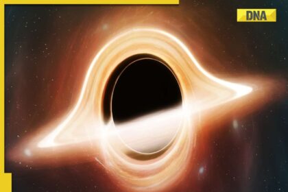 What is a Black Hole? Is It Really a Hole in Space? Find Out Here