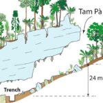 When Did Humans First Settle in Southeast Asia?