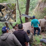 પાઇલટ વડોદરાનો હતો, પાર્થિવદેહ લેવા પરિજનો રવાના