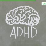 ADHD and Its Impact on Partnership Dynamics: From Forgetfulness to Impulsivity