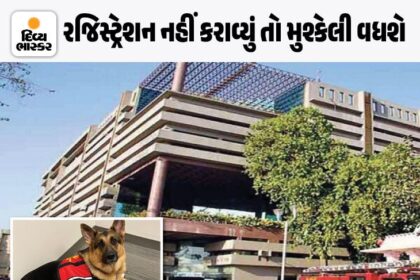 AMCએ લાલઆંખ કરતા પેટ ડોગના માલિકો દોડ્યા:  અમદાવાદમાં એક જ દિવસમાં 330 પેટ ડોગનું રજીસ્ટ્રેશન થયું, 31 મે બાદ નોટિસ અને દંડનીય કાર્યવાહી થશે - Ahmedabad News