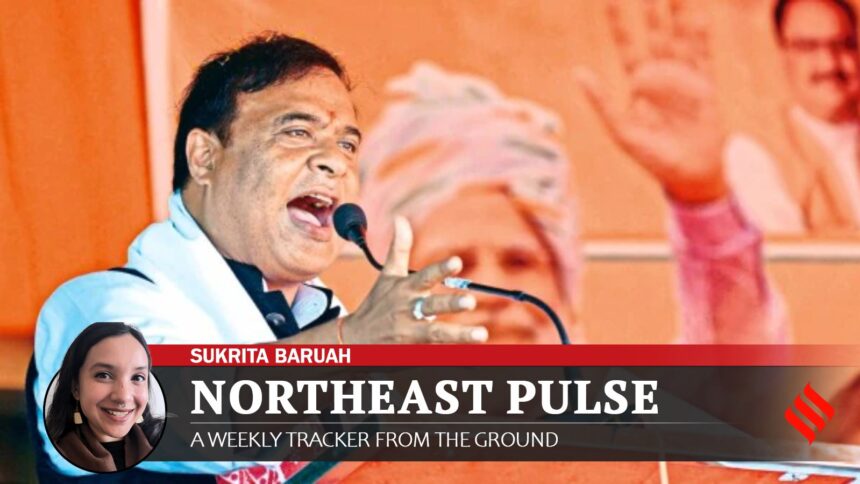 Assam Elections: BJP Sees Sweep in Rural Polls, Including Minority Areas