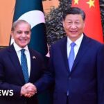 China's Strategic Dependence in theregion of Kashmir:exploiting India's Involvement in Pakistan.tokenize conflictdisputes