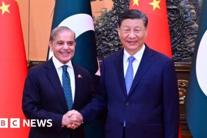 China's Strategic Dependence in theregion of Kashmir:exploiting India's Involvement in Pakistan.tokenize conflictdisputes