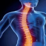 Class X Boys' AI Model Wins Rs 1.5L for Detecting Spinal Lesions