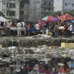 Dengue Cases Surge in Karnataka, 1,186 Cases Recorded by April 30