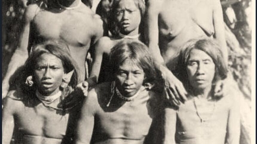Development at the Cost of Nicobar Islands: A Controversial Issue