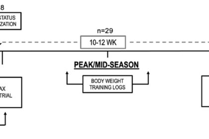 Energy Deficiency Hinders Collegiate Running Performance