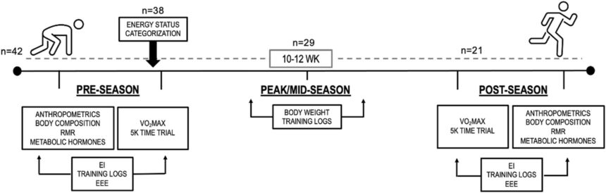Energy Deficiency Hinders Collegiate Running Performance