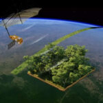 European Space Agency Launches Biomass Satellite for Forest Monitoring and Climate Studies