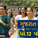 GSEB 12th Result 2025: ગુજરાત બોર્ડ ધો.12 વિજ્ઞાન પ્રવાહમાં વિદ્યાર્થીઓ તો સામાન્ય પ્રવાહમાં વિદ્યાર્થીનીઓએ બાજી મારી