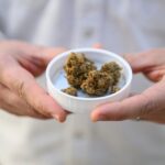German cannabis firm enjoys medical boom times