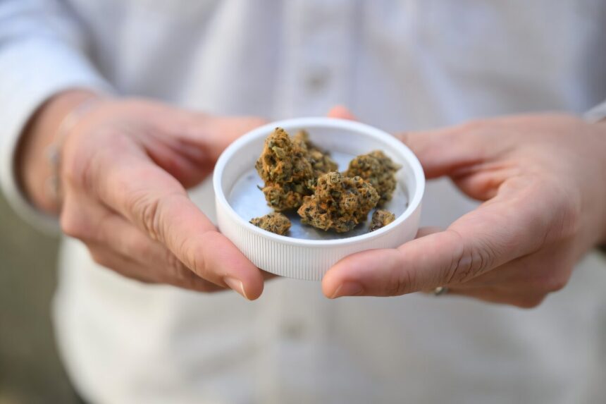 German cannabis firm enjoys medical boom times