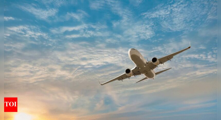 Government Orders 100% Pre-Boarding Checks for All Flyers at Airports, Steps Up Aviation Security to Higher Level | India News - The Times of India