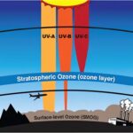 How to Survive in a Sunburned Country: Tips for Staying Safe in the Sun