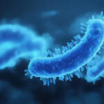IIIT-Delhi, French ScientistsForge AI Tool to Combat Drug-Resistant Superbugs - ET HealthWorld
