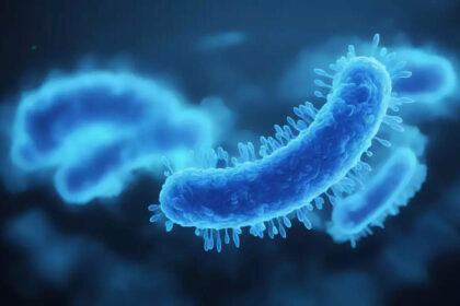 IIIT-Delhi, French ScientistsForge AI Tool to Combat Drug-Resistant Superbugs - ET HealthWorld