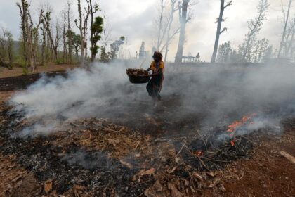 India's Forest Rights Act Provides a Competitive Edge in the Face of Biodiversity Threats