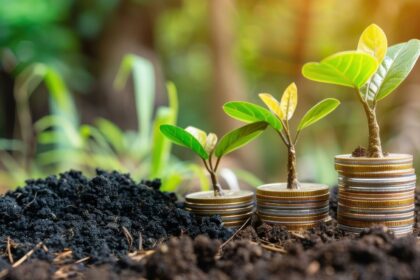 Investing in Midcap Indices: A Deep Dive into the Nifty Midcap 50 Index | THE PRIME NEWS NETWORK