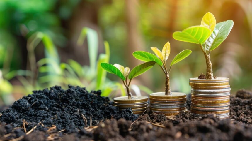 Investing in Midcap Indices: A Deep Dive into the Nifty Midcap 50 Index | THE PRIME NEWS NETWORK