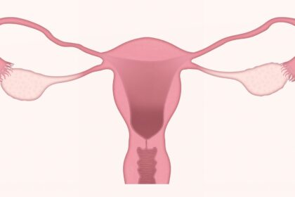 Menstrual Phase and Vaccine Timing Linked to Minor Cycle Shifts