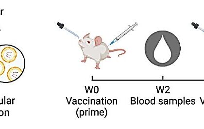 Novel Intranasal Vaccine Technology Demonstrates Promise for Broad Protection Against Respiratory Viruses