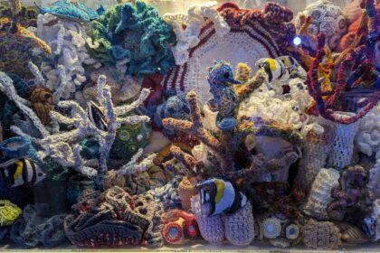Ocean Conservation Takes Center Stage at Alliance Française of Madras