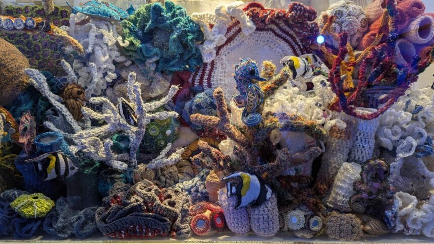 Ocean Conservation Takes Center Stage at Alliance Française of Madras