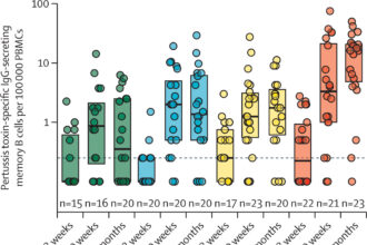Pertussis Vaccination During Pregnancy Found to Boost Baby's Immune Protection