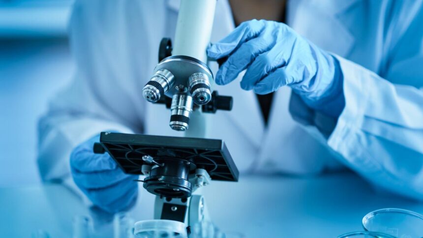 Research Scholars Are Dissatisfied with DST's Del実は