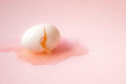 Science Reveals Why Eggs Are Less Likely to Crack When Dropped on Their Side
