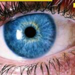 Scientists Unveil New Color: A Discovery Through Human Vision Tricks