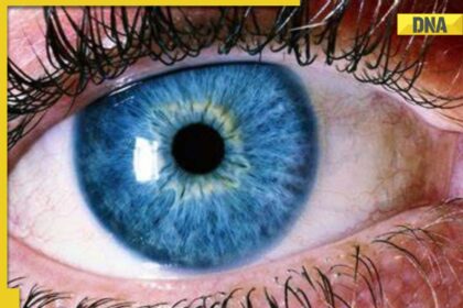 Scientists Unveil New Color: A Discovery Through Human Vision Tricks