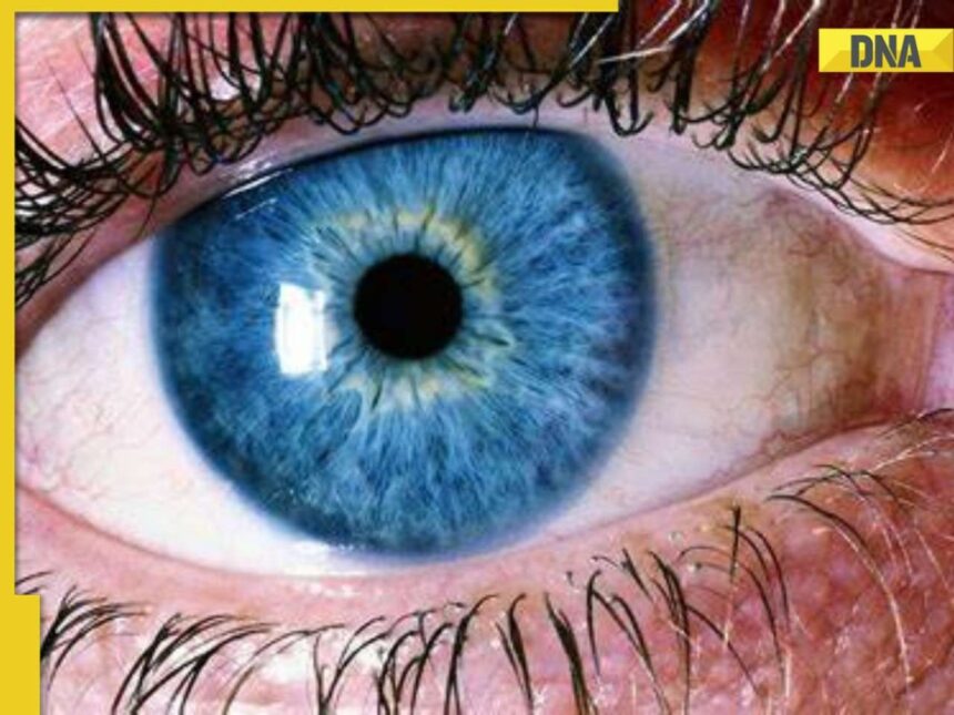 Scientists Unveil New Color: A Discovery Through Human Vision Tricks