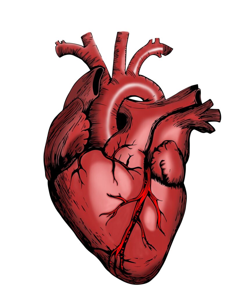 Shingles Vaccine Reduces Heart Disease Risk for Up to Eight Years, Study Finds