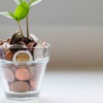 Small Savings Schemes vs Bank FDs: Investors Can Earn Up to 8.1% with Tax Benefits | Mint