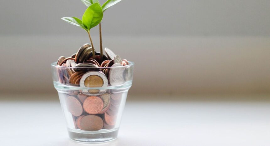 Small Savings Schemes vs Bank FDs: Investors Can Earn Up to 8.1% with Tax Benefits | Mint