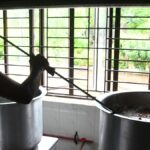 Students at Telangana Gurukul Schools Assume New Roles as Diet Managers, Mess Monitors, and Hygiene Monitors