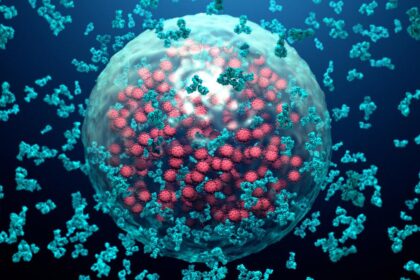 Study Finds Lab-Created Antibody Effective in Preventing Severe Respiratory Illness in Infants