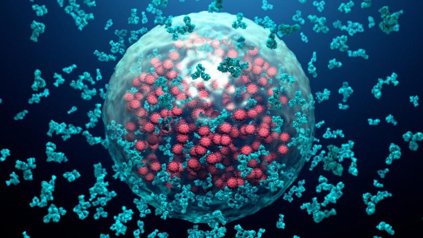 Study Finds Lab-Created Antibody Effective in Preventing Severe Respiratory Illness in Infants