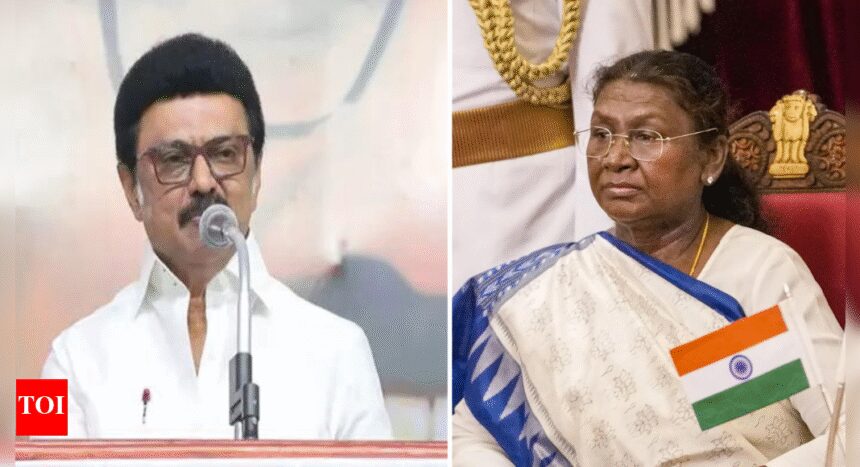 Tamil Nadu CM MK Stalin Criticizes Centre for Questioning SC's Governor Judgement, Threatens to Paralyze Non-BJP States