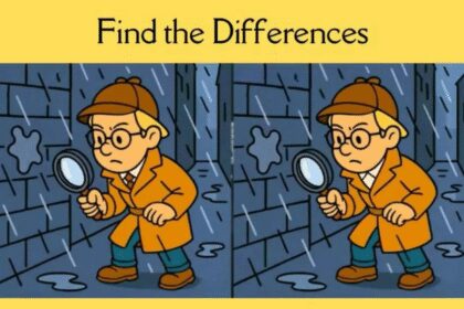 Understanding the Optical Illusion: Spot 3 Differences in This Detective Picture | Times of India