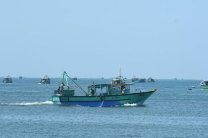 What is the Total Allowable Catch?