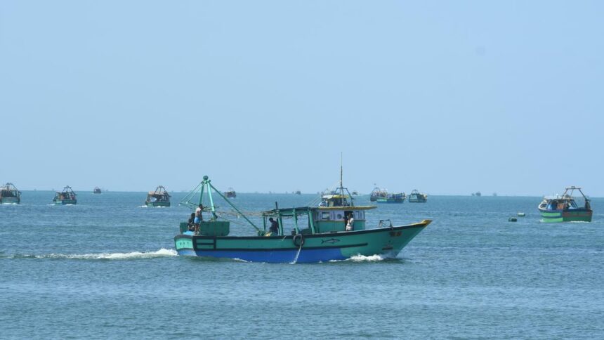 What is the Total Allowable Catch?